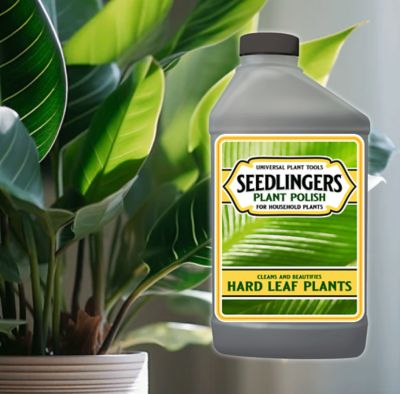 Image showing  Plant Polish Quart Concentrate