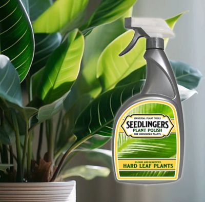 Image showing  Plant Polish Quart Concentrate