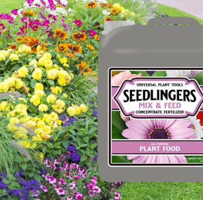 Image showing  Mix & Feed All Purpose Plant Food 5 Gallon Concentrate