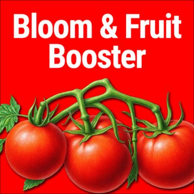 Image showing  Tomato Food 16 oz. Concentrate