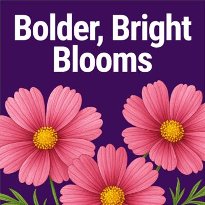 Image showing  Flower Food Gallon Concentrate