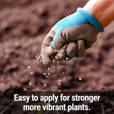 Image showing  Sprinklets Plant Food 1 lb. Granular