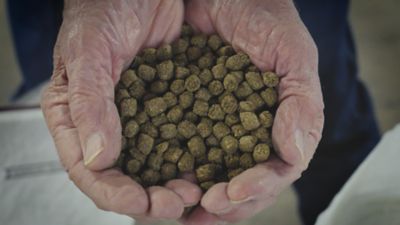 Image showing  Total Equine Horse Feed, 40 lb. Bag