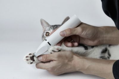 Image showing  Waterproof 2 in 1 Pet Trimmer PRO