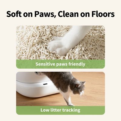 Image showing 6 th Petkit Natural Cat Litter, 5.2 lb. bag