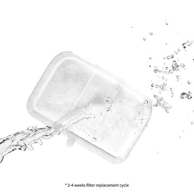 Image showing  Replacement Filter for EVERSWEET MAX