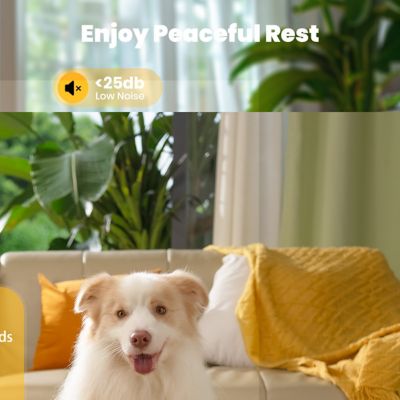 Image showing  PWF-002-B Stainless Steel Dog Water Fountain - 7L/230 oz., Quiet, Triple Filtration with 3 Filter Water Level Window