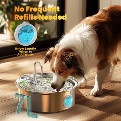 Image showing  PWF-002-B Stainless Steel Dog Water Fountain - 7L/230 oz., Quiet, Triple Filtration with 3 Filter Water Level Window