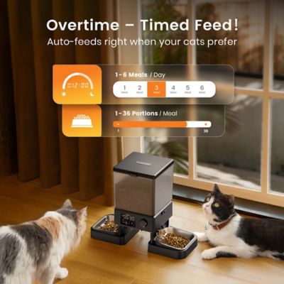 Image showing  PFD-002 Automatic Cat Feeder - 5L/20 Cups, Timed Dry Food Dispenser for 2 Cats, Indoor Pet Feeder
