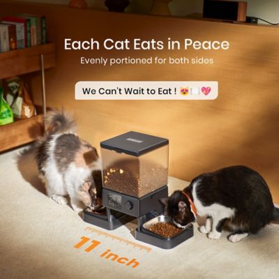 Image showing  PFD-002 Automatic Cat Feeder - 5L/20 Cups, Timed Dry Food Dispenser for 2 Cats, Indoor Pet Feeder
