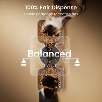 Image showing  PFD-002 Automatic Cat Feeder - 5L/20 Cups, Timed Dry Food Dispenser for 2 Cats, Indoor Pet Feeder