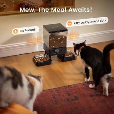 Image showing 6 th Oneisall PFD-002 Automatic Cat Feeder - 5L/20 Cups, Timed Dry Food Dispenser for 2 Cats, Indoor Pet Feeder