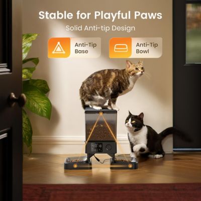 Image showing 8 th Oneisall PFD-002 Automatic Cat Feeder - 5L/20 Cups, Timed Dry Food Dispenser for 2 Cats, Indoor Pet Feeder