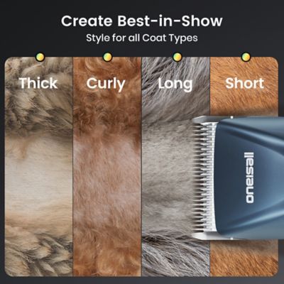 Image showing 6 th Oneisall PC14 Cordless Dog Clippers, 2-Speed, with Carbon Steel Blade, Metal Combs & Removable Battery