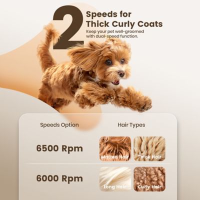 Image showing  K52NTS Cordless Dog Clippers for Thick Heavy Coats, Low Noise, with Metal Blades, All Stainless Steel, 2 Speeds