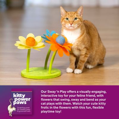 Image showing  Sway 'n Play