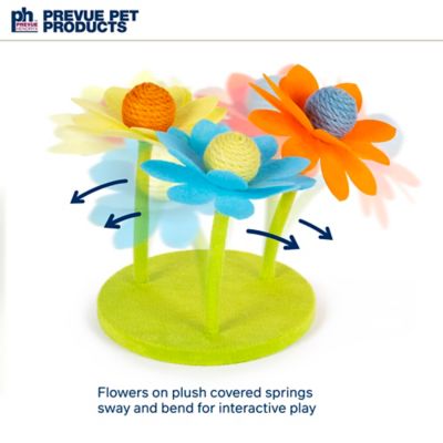 Image showing  Sway 'n Play