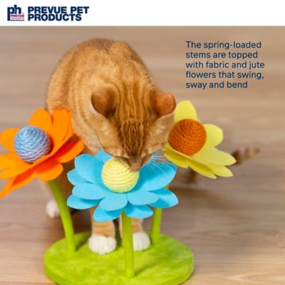 Image showing  Sway 'n Play