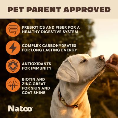 Image showing  Sweet Potato & Pumpkin Crunchy Biscuit Dog Treats