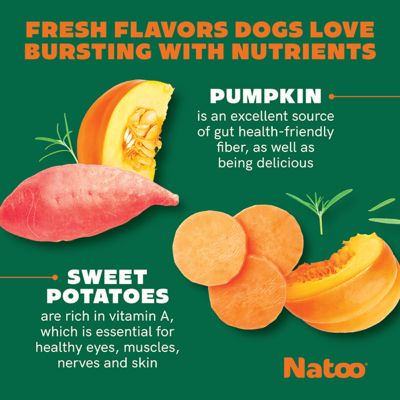 Image showing  Sweet Potato & Pumpkin Crunchy Biscuit Dog Treats