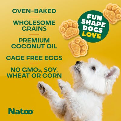 Image showing  Coconut & Mango Crunchy Biscuit Dog Treats