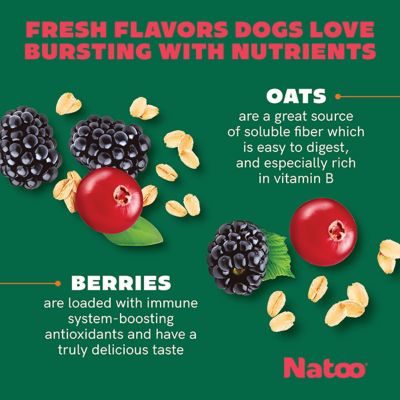 Image showing  Oats & Berries Crunchy Biscuit Dog Treats