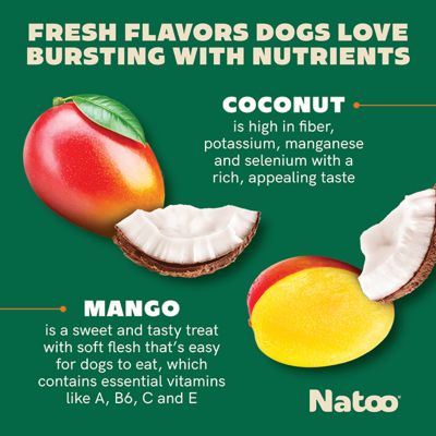 Image showing  Coconut & Mango Big Bite Crunchy Biscuit Dog Treats