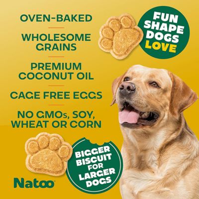 Image showing  Coconut & Mango Big Bite Crunchy Biscuit Dog Treats