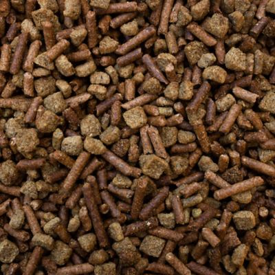 Image showing  EQ8 SENIOR