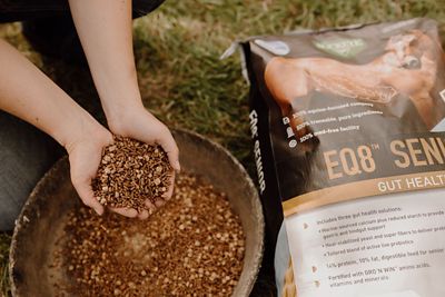 Image showing  EQ8 Senior Gut Health Multi-Textured Senior Horse Feed, 50 lb. bag