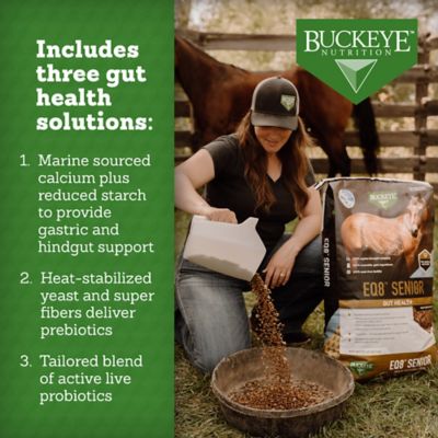 Image showing 5 th BUCKEYE Nutrition EQ8 Senior Gut Health Multi-Textured Senior Horse Feed, 50 lb. bag