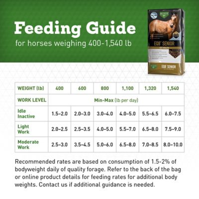 Image showing 7 th BUCKEYE Nutrition EQ8 Senior Gut Health Multi-Textured Senior Horse Feed, 50 lb. bag
