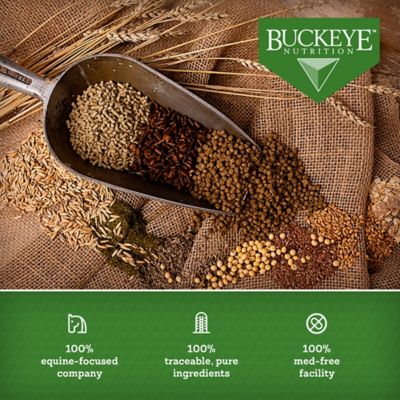 Image showing 8 th BUCKEYE Nutrition EQ8 Senior Gut Health Multi-Textured Senior Horse Feed, 50 lb. bag