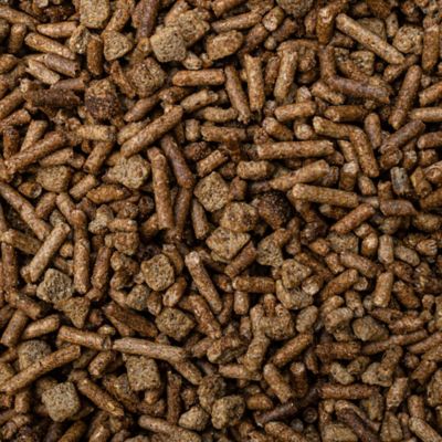 Image showing  EQ8 Gut Health Multi-Textured Horse Feed, 50 lb.