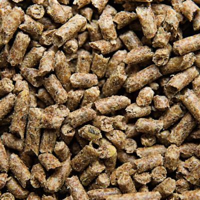 Image showing  SAFE 'N EASY PERFORMANCE