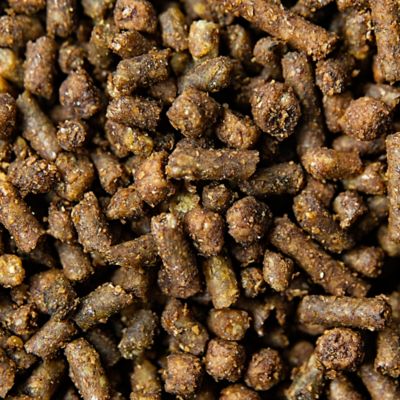 Image showing  CADENCE ULTRA