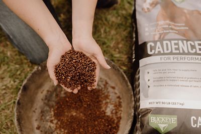 Image showing  CADENCE Ultra Nutrient Dense 14-14-14 Sweet Pelleted Performance Horse Feed, 50 lb.