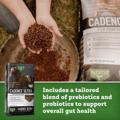 Image showing 5 th BUCKEYE Nutrition CADENCE Ultra Nutrient Dense 14-14-14 Sweet Pelleted Performance Horse Feed, 50 lb.