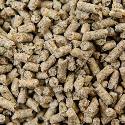 Image showing  GRO 'N WIN