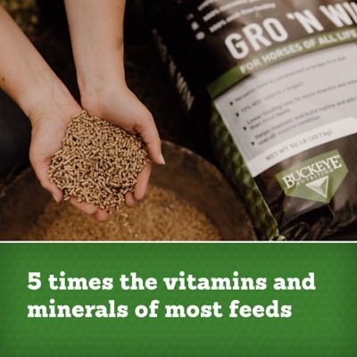 Image showing 5 th BUCKEYE Nutrition GRO 'N WIN, Pelleted Ration Balancer for Horses of All Life Stages, 50 lb.