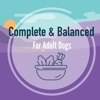 Image showing 7 th A Strong Heart Wet Dog Food, Beef, Bacon & Cheese Flavor - 13.2 oz. Cans, Pack of 12