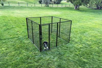 Image showing  8 ft. x 8 ft. BYB Dog Kennel (Powder-Coated)