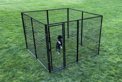 Image showing  8 ft. x 8 ft. BYB Dog Kennel (Powder-Coated)