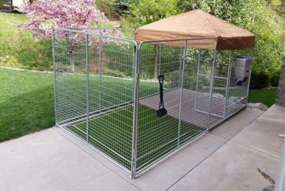 Image showing  Single 1 ft. x 1 ft. Pet Rated Artifical Grass Tile