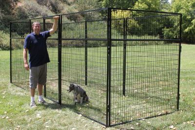 Image showing  8 ft. X 10 ft. Basic 7 ft. Tall Wire Kennel (Powder-Coated)
