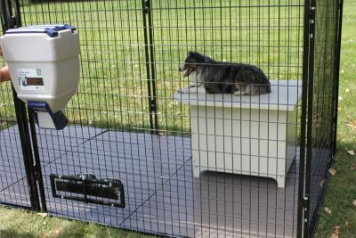 Image showing  XXL Heavy Duty Powdercoated Metal Large Breed Dog House Den