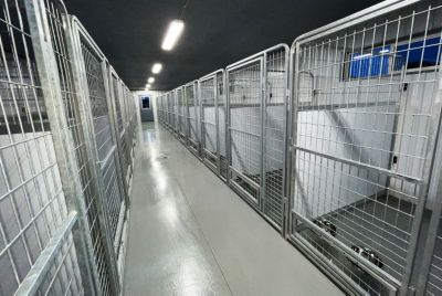 Image showing  4 ft. x 6 ft. Multiple PRO Full Stall Dog Kennels x2