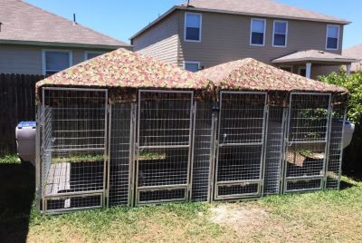 Image showing  4 ft. x 6 ft. Multiple PRO Full Stall Dog Kennels x2
