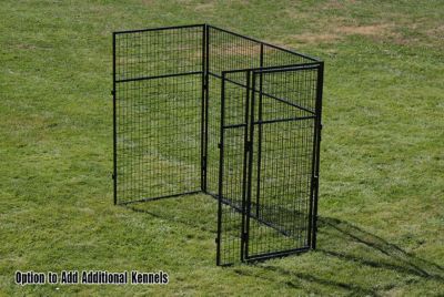 Image showing 1 th Cove Products 4 ft. X 6 ft. Multiple 7 ft. Tall Full Stall Dog Kennels x2