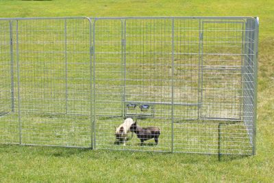 Kennel Pro 8 ft. x 10 ft. Basic Dog(Galvanized)